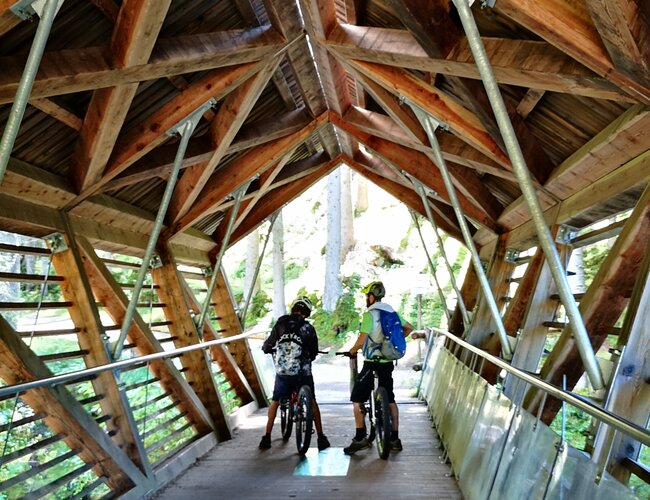 Pedalando nel parco naturale di Paneveggio e sulla catena del Latemar