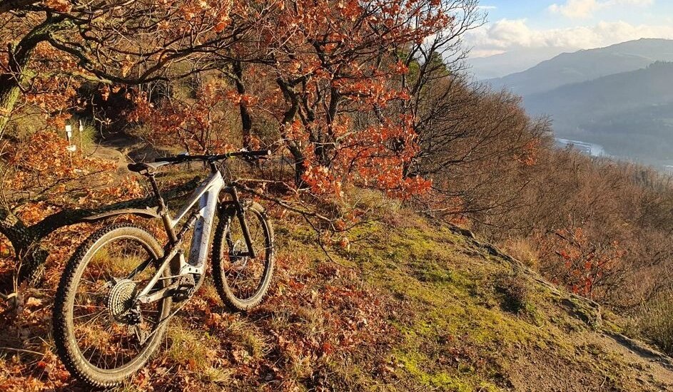 Bonus Bici Emilia Romagna 2025: Fino a 1.000€ per la tua e-bike!