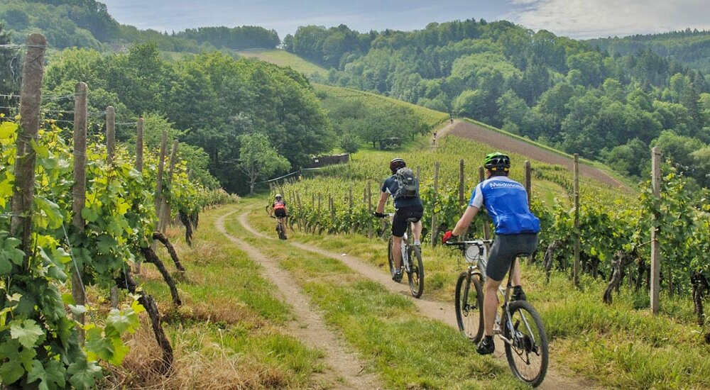 Le Langhe in ebike tra vigneti e borghi storici