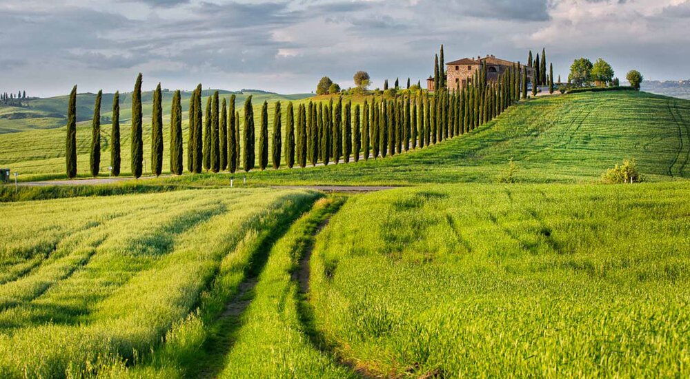 Viaggio in Toscana: Firenze, San Gimignano e Siena