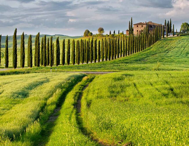 Viaggio in Toscana: Firenze, San Gimignano e Siena