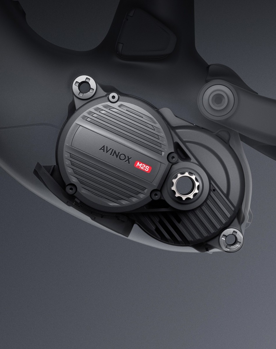 Motorizzate Avinox