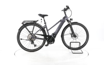fischer herren trekking e-bike viator 2.0 2.0, Elektrofahrrad für Damen und Herren, RH 50 cm, Heckmotor 45 Nm, 48 V Akku Elektronik & Foto XXXX-Large Größe:300x450mm ROLAND Fahrradanhänger Mit Tiefdeichsel